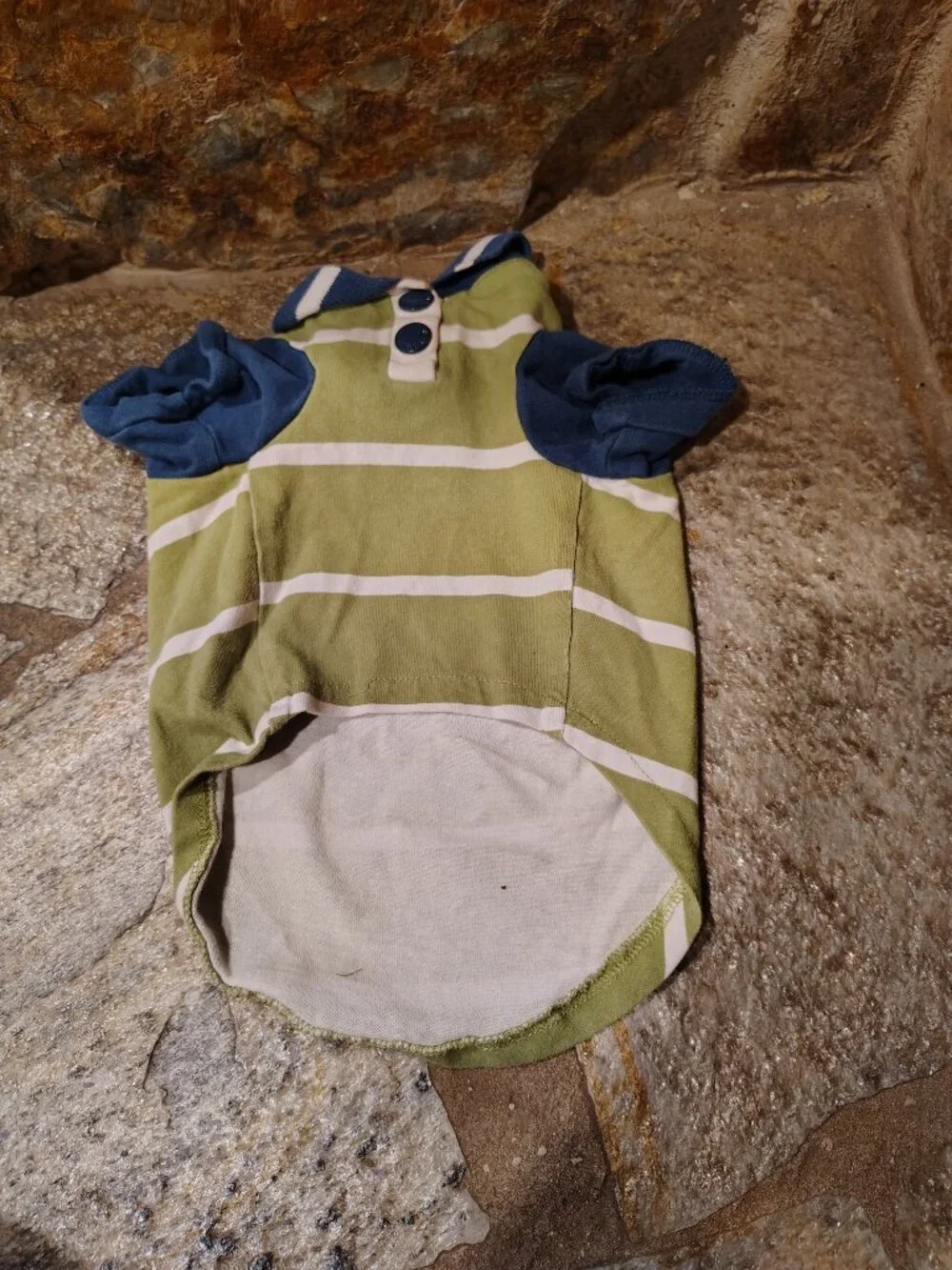 Martha Stewart Pets Dog Polo Size Medium Ready Set Fetch